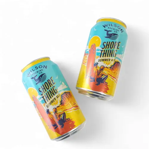 9 [conflicted]. Shore Thing Summer Ale Gift Box thumbnail
